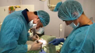 Çürüyen bir diş stomatology odasında kaldırmak için cerrahi pense kullanarak diş hekimi