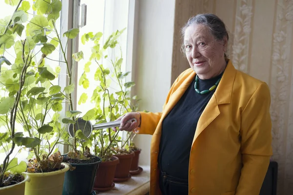 Vieja con la chaqueta amarilla en la ventana regando la planta de interior — Foto de Stock