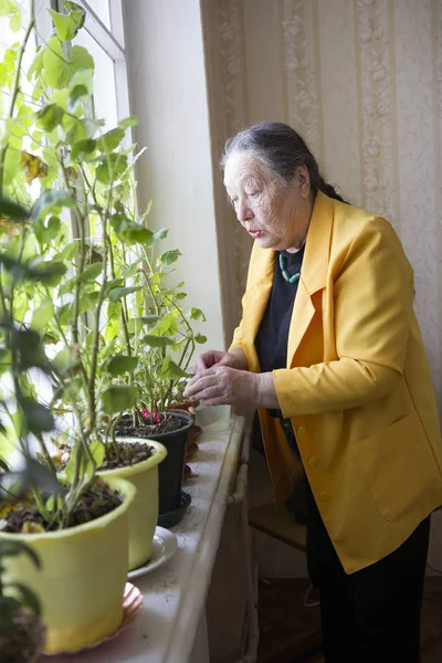 Mujer mayor en la chaqueta amarilla en la ventana con flores — Foto de Stock