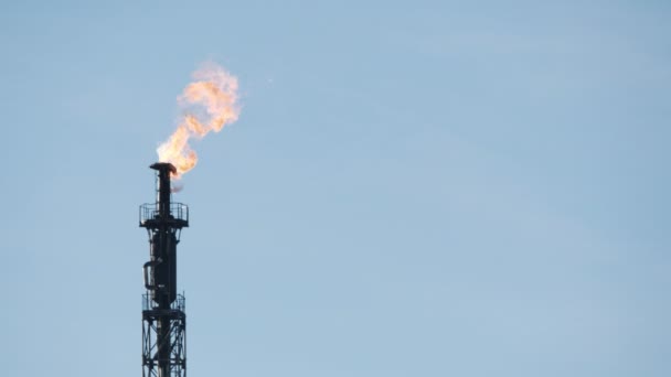 Tubo de gas de alta fábrica con la llama ardiente, quema de la producción de residuos — Vídeos de Stock