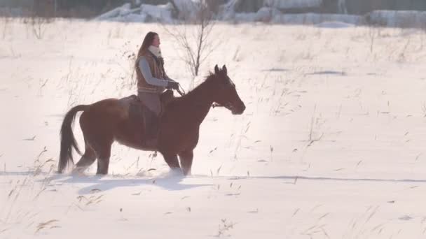 Schöne langhaarige Frau reitet auf einem braunen Pferd durch die tiefe Schneebank im Wald — Stockvideo