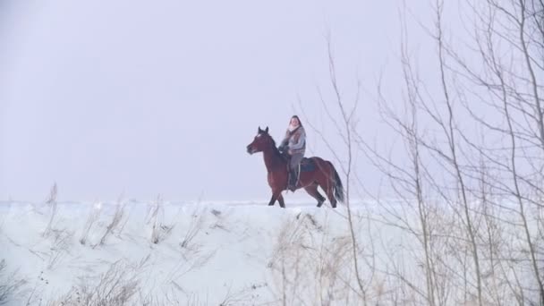 Beautiful longhaired woman riding a brown horse through the deep snowbank in the forst — Stock Video