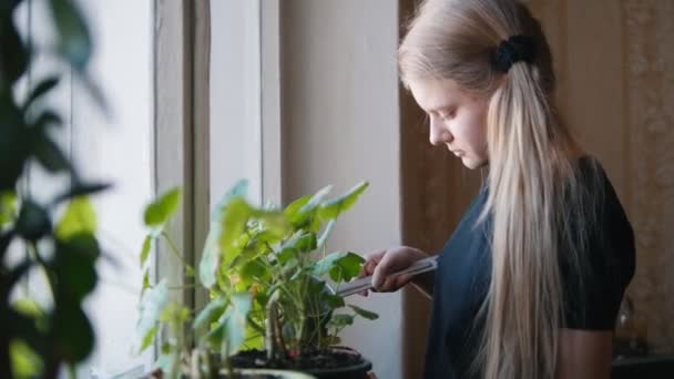 Una joven regando flores en casa — Vídeo de stock