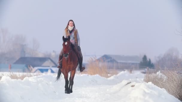Mooie langharige vrouw berijden van een bruin paard door de diepe snowbank in de forst — Stockvideo