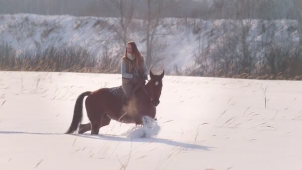 Giovane cavallerizza femminile cavalcando un cavallo nero attraverso le derive nella foresta ghiacciata invernale — Video Stock