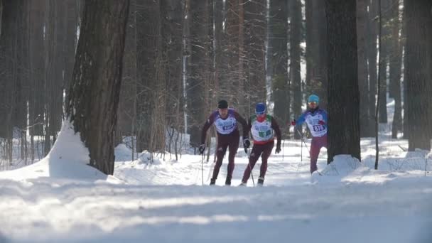 КАЗАН, РОССИЯ - Март 2018: Лыжники бегут марафон в зимних лесах — стоковое видео
