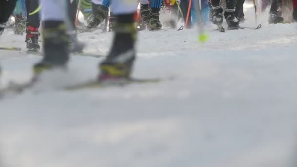 KAZAN, RUSSIA - March, 2018: start of the ski race, close-up of skis and legs of a large number of participants — Stock Video