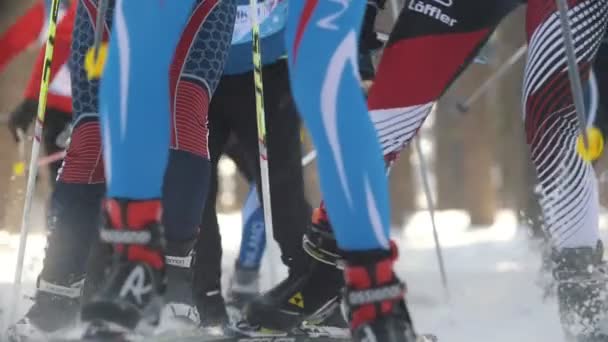Kazan, Rusland - maart, 2018: grote groep van deelnemers aan de ski-wedstrijd lopen in het bos — Stockvideo