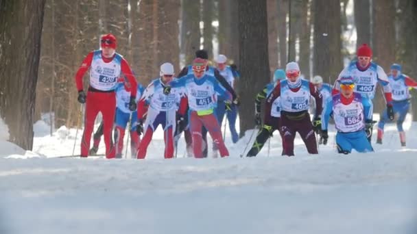 KAZAN, RUSSIA - March, 2018: Male skiers running skiing in winter, ski marathon — Stock Video