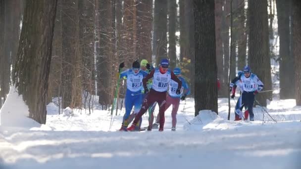 Kazan, Federacja Rosyjska - marca, 2018: widok zbliżających się grupy zawodowych narciarzy udział w maratonie narciarskim — Wideo stockowe