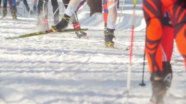 KAZAN, RÚSSIA - Março de 2018: maratona de esqui profissional em câmera lenta, foco nos pés e atletas de esquis e pista de esqui, a neve voando de baixo dos esquis — Vídeo de Stock