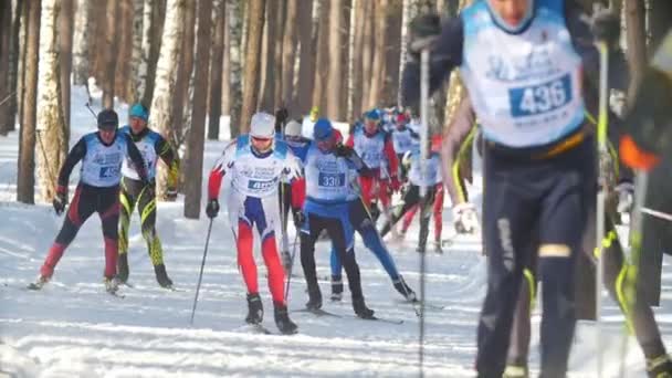 KAZAN, RUSSIA - March, 2018: slow motion of winter mens ski marathon, athletes skiers running in the woods — Stock Video