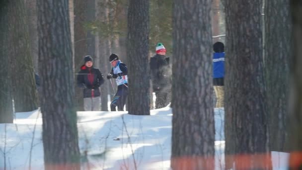 Kazan, Rusland - maart, 2018: slow motion van mannelijke deelnemer winter ski marathon snel uitgevoerd langs de bomen, de vrijwilligers en de toeschouwers — Stockvideo