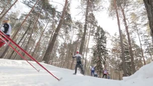 KAZAN, RUSIA - Marzo, 2018: Atletas esquiadores corren maratón de esquí de Kazán en el bosque de invierno — Vídeo de stock