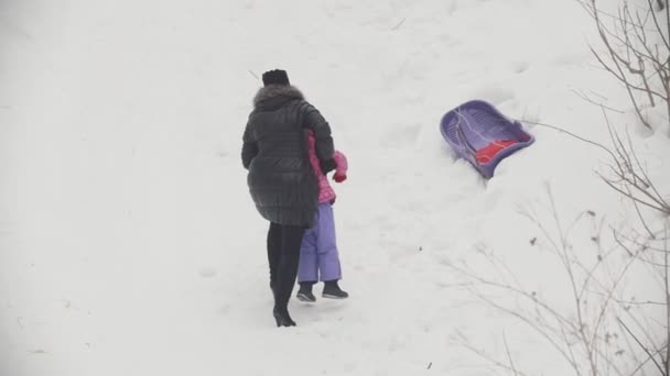 Mutter mit ihrer kleinen Tochter beim Rodeln im Winterpark — Stockvideo