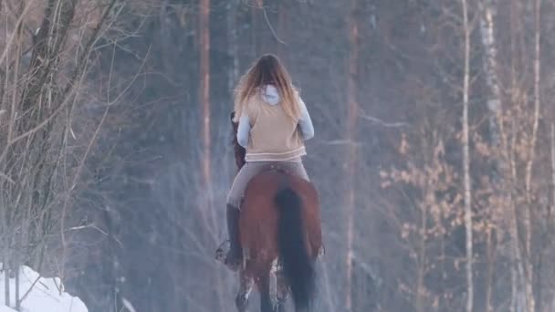 Портрет красивой всадницы и ее черной лошади в зимнем поле — стоковое видео