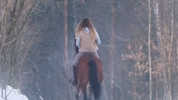 Porträt der schönen Reiterin und ihres schwarzen Pferdes im Winterfeld — Stockvideo