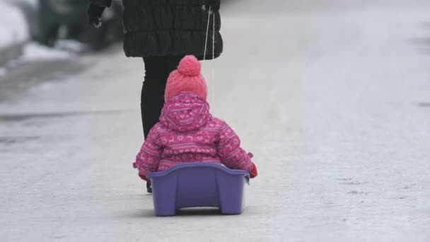 母亲拉雪橇与孩子在公园里 — 图库视频影像