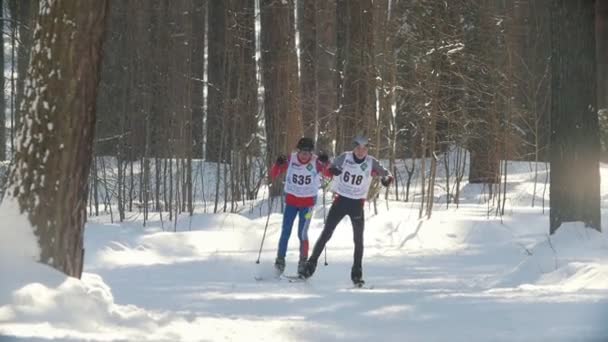 Kasan, russland - märz 2018: zwei junge skifahrer laufen auf der skilanglaufbahn — Stockvideo