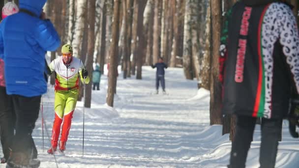 KAZAN, RÚSSIA - MARÇO, 2018: O esquiador correndo em pista de esqui em esqui cross-country em dia ensolarado — Vídeo de Stock