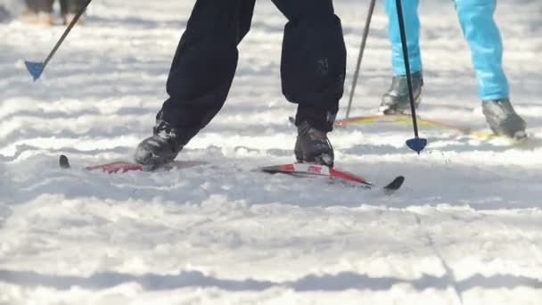KAZAN, RUSIA - MARZO, 2018: Las piernas de los esquiadores que corren en pista de esquí de fondo — Vídeo de stock