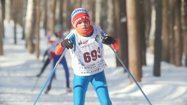 KAZAN, RUSIA - MARZO, 2018: Joven esquiador corriendo en pista de esquí en esquí de fondo en un día soleado — Vídeo de stock