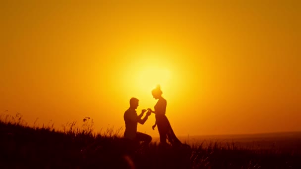 Ρομαντικά σιλουέτα του άντρα να πάρει κάτω του γόνατος και το Proposing γυναίκα στο Λιβάδι το καλοκαίρι - ζευγάρι παίρνει ασχολούνται στο ηλιοβασίλεμα - άνθρωπος βάζοντας δαχτυλίδι στο δάχτυλό κορίτσια - αργή κίνηση — Αρχείο Βίντεο