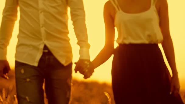 Casal amoroso - jovem e menina bonita andando no prado do pôr-do-sol - silhueta, câmera lenta — Vídeo de Stock