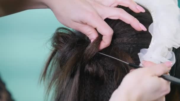 Maquilleuse, coiffeuse travaillant avec le client dans le salon de beauté, façonnant les boucles en frisant le fer — Video