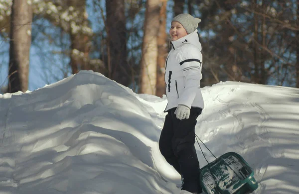 Mooi meisje tiener in een zonnige winter-forest met slee — Stockfoto