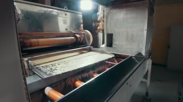 Producto de pasta enrollado en una cinta transportadora en una fábrica de alimentos — Vídeo de stock