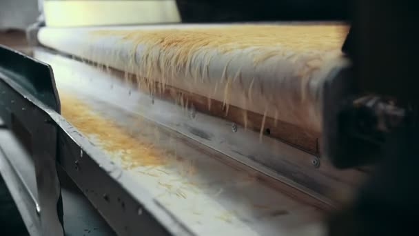Вид на повільний рух макаронних виробів, що рухаються на конвеєрному поясі на харчовій фабриці — стокове відео