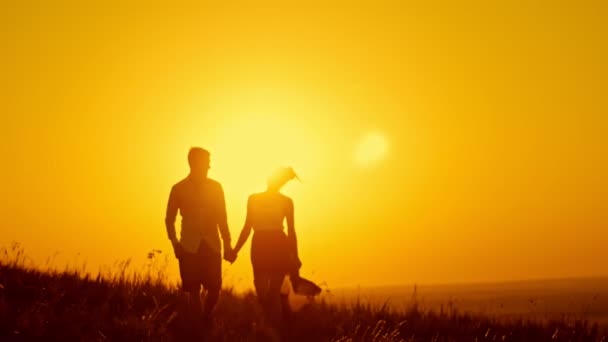 Kjærlig par - ung mann og vakker jente som går på solnedgang eng - silhuett, saktefilm – stockvideo