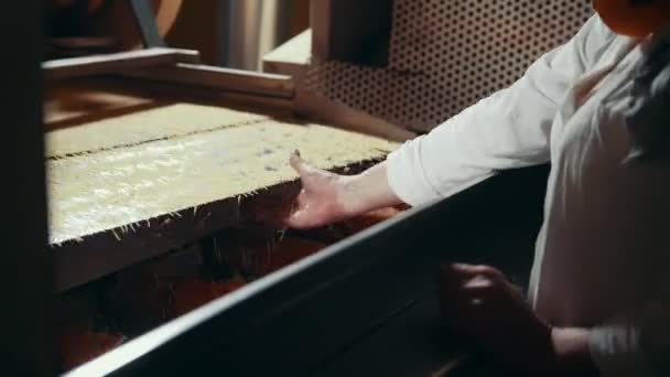 De manager van de controle van de kwaliteit in het laboratoriumjas is de kwaliteit van de rauwe macaroni regelen — Stockvideo