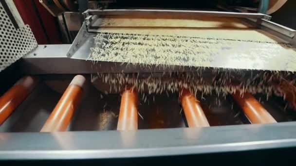 Équipe industrielle de fabrication de pâtes alimentaires 