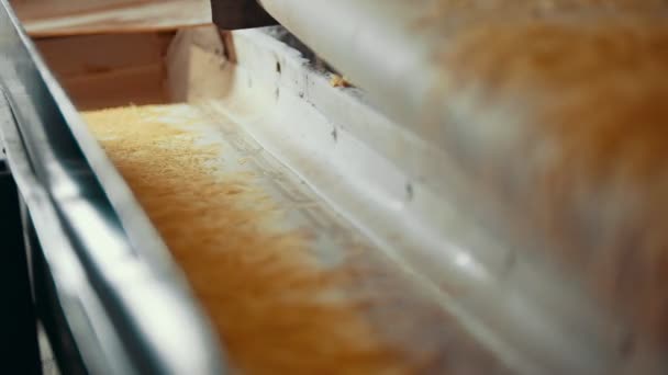 Linea di produzione della pasta - prodotto finito — Video Stock