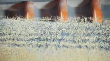 Makarna üretim hattında