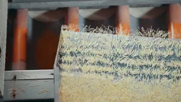 マカロニ工場の生産ラインのトップ ビュー — ストック動画
