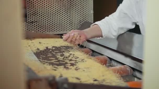 Gerente de control de calidad que controla la calidad de los macarrones crudos — Vídeos de Stock