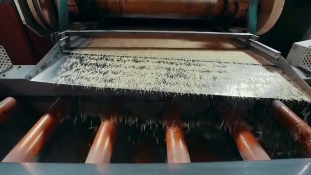 Продукт Макароні, що котиться на конвеєрному поясі на фабриці макаронних виробів, повільний рух — стокове відео