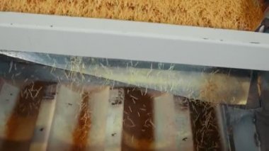 Makarna Fabrikası üretim hattı - Üstten Görünüm