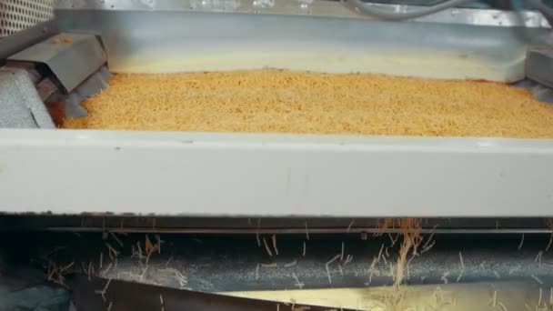 Makaroner produkt rullande på ett transportband i en pasta factory — Stockvideo