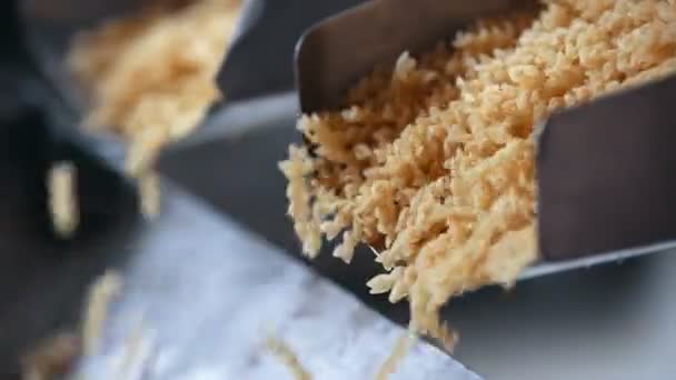 Tillverkning pasta i en produktionslinje — Stockvideo