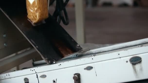 Trabajador recogiendo bolsas de macarrones de una cinta transportadora en una fábrica de pasta — Vídeo de stock