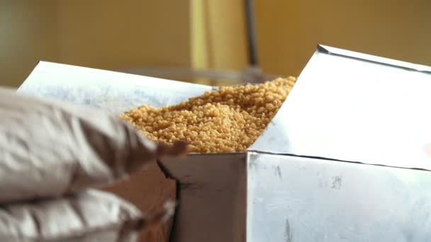 Ruwe macaroni in het magazijn in de pasta fabriek — Stockvideo