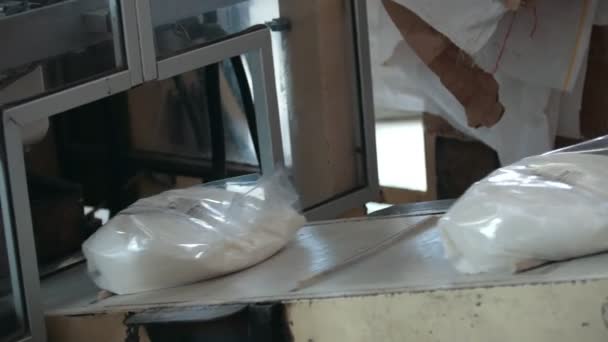 Worki z mąką na taśmie w fabryce makaronu — Wideo stockowe