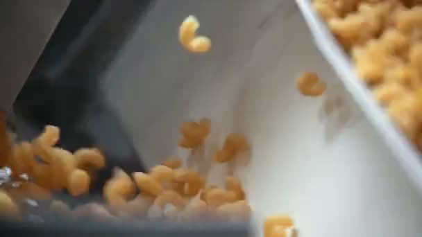 Macaroni op de transportband op de pasta textielfabriek — Stockvideo