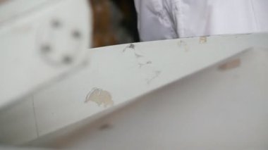 İşçi ambalaj ham makarna makarna imalatı