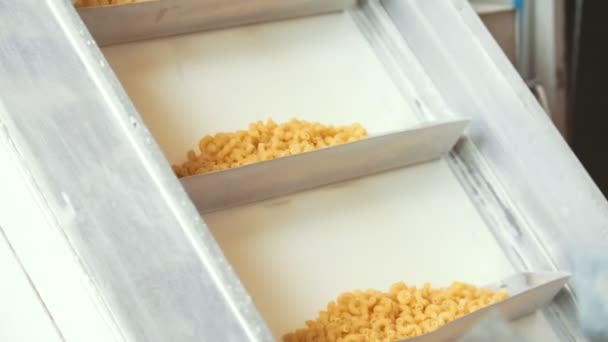 Macarrones crudos en la línea de producción en una fábrica de pasta — Vídeo de stock