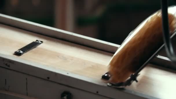 Macarrones envasados en una línea de producción en una fábrica de pasta — Vídeo de stock